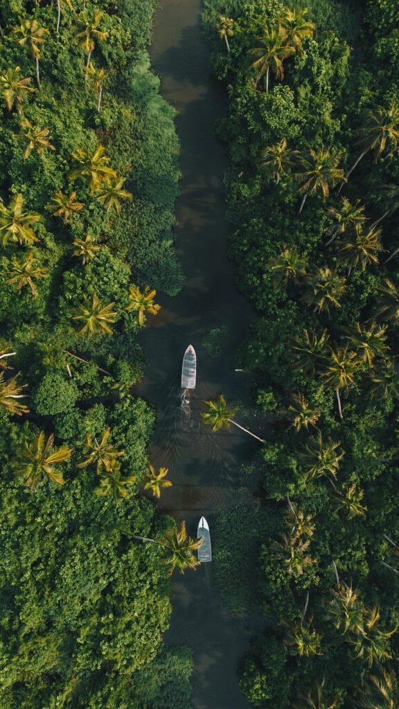 river, kerala, india, munnar, nature, tourism, backwaters, houseboat, phone wallpaper, alleppey, landscape, adventure, scenery, wallpaper, alappuzha, top view, aerial view